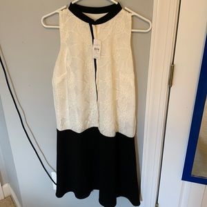Loft Woman’s Dress